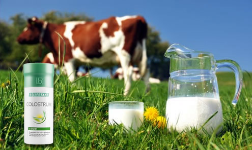 Какво е Коластра (Colostrum) и за какво се използва?