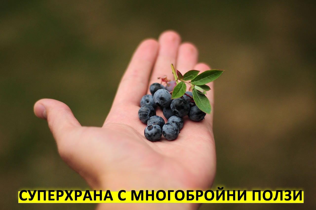 Акай Бери - суперхрана с много бройни ползи за здравето!