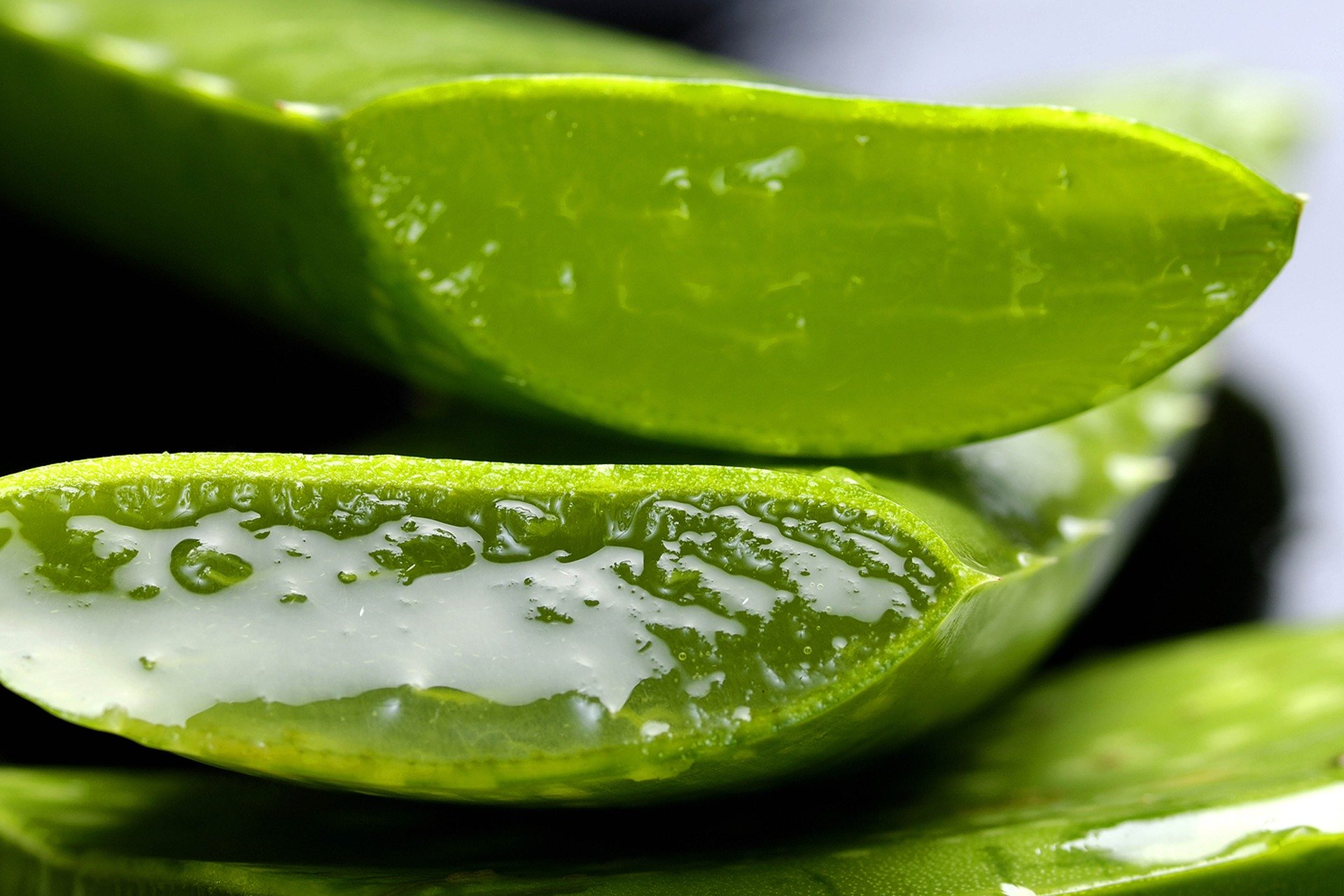 gel aloe vera vij bezcennite svoistvajpg