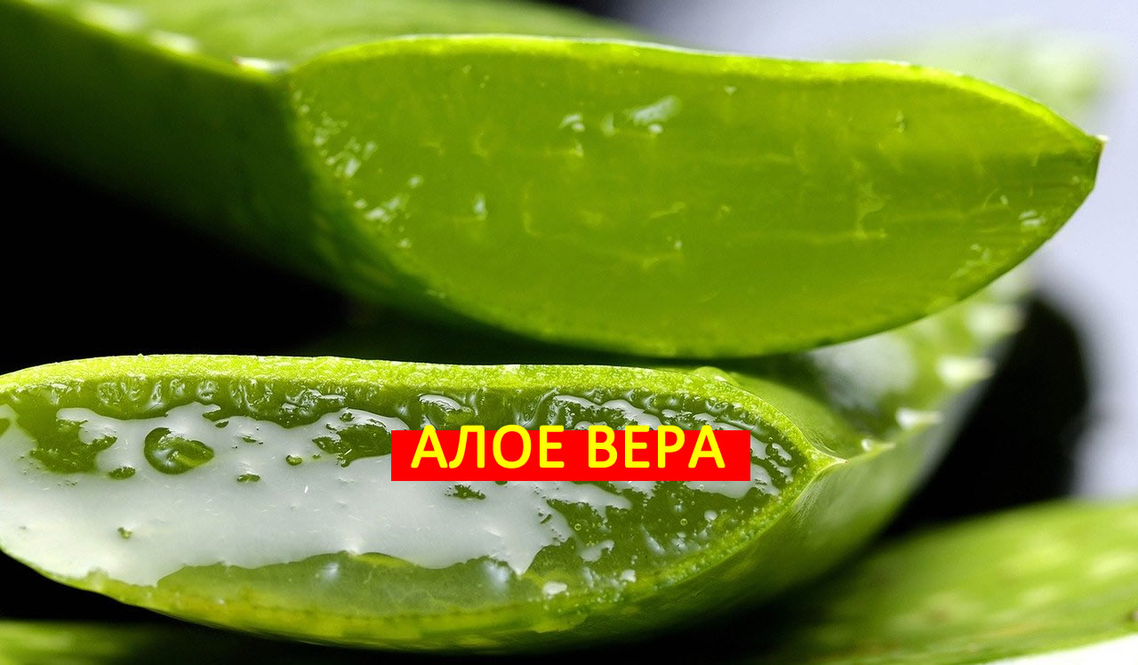 Скъпа козметика? Вижте как Алое Вера може да я замени!
