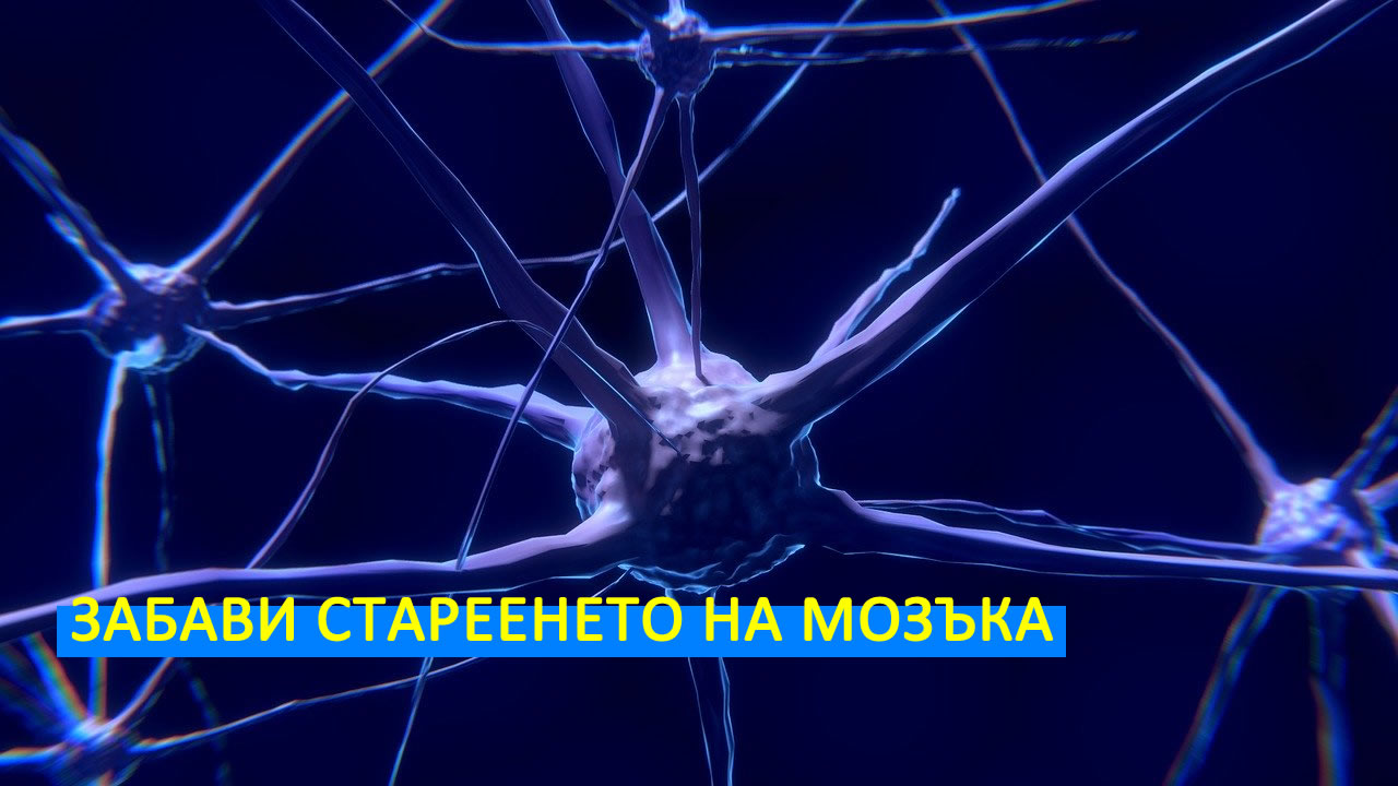 zavavi stareeneto na mozaka