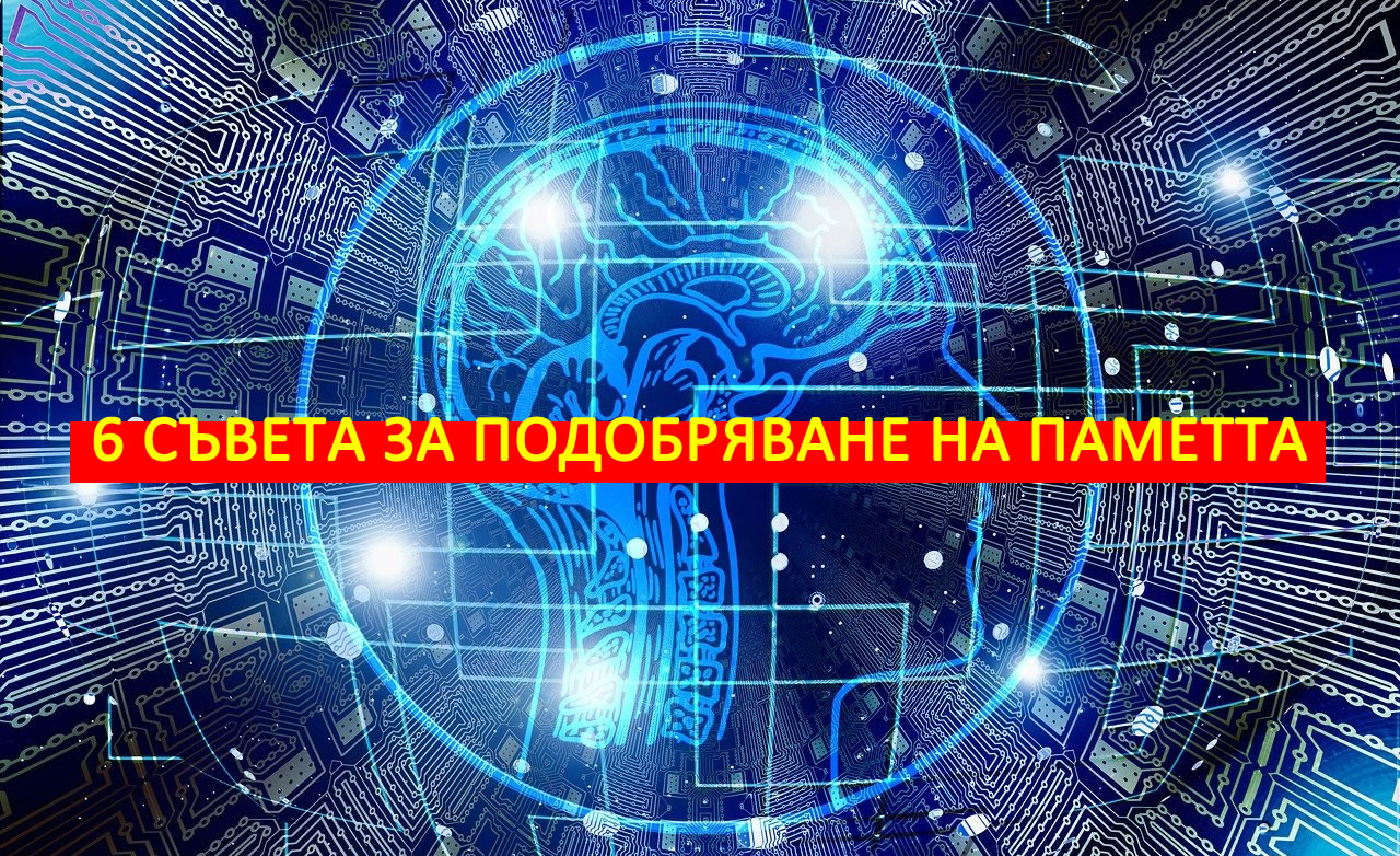 Как да подобрим паметта си? Вижте тези 6 съвета за по-добра памет!