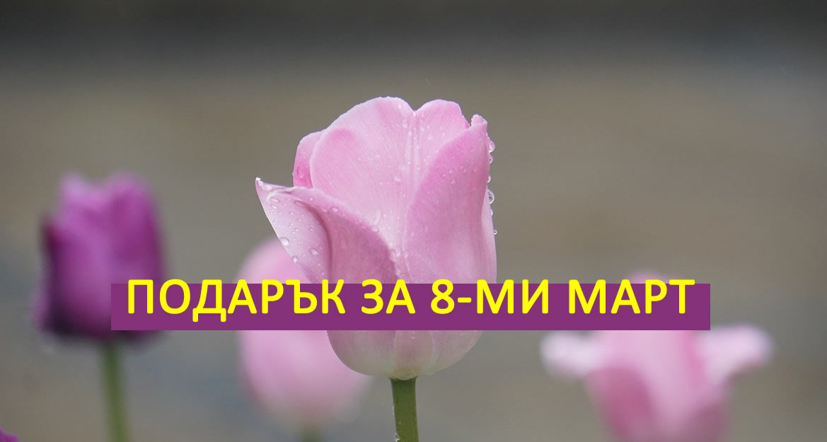 Подарък за 8-ми март! Вижте 5 идеи, с които да зарадвате любимата жена!