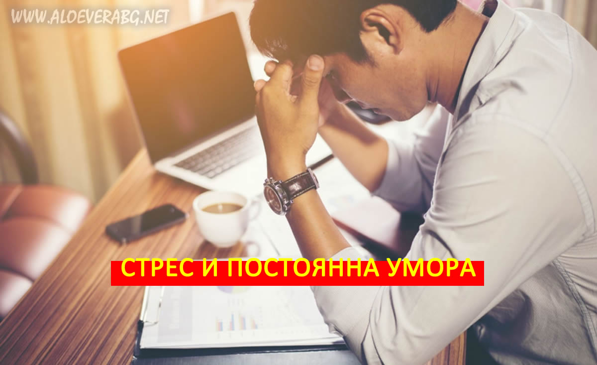 Постоянна умора? Вижте 6 начина как да повишите енергията си!