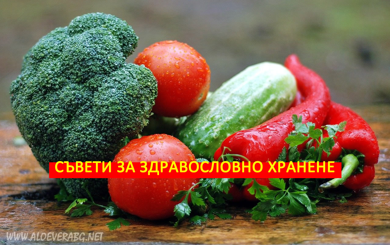 5 съвета как да се храним Здравословно в забързаното ежедневие!