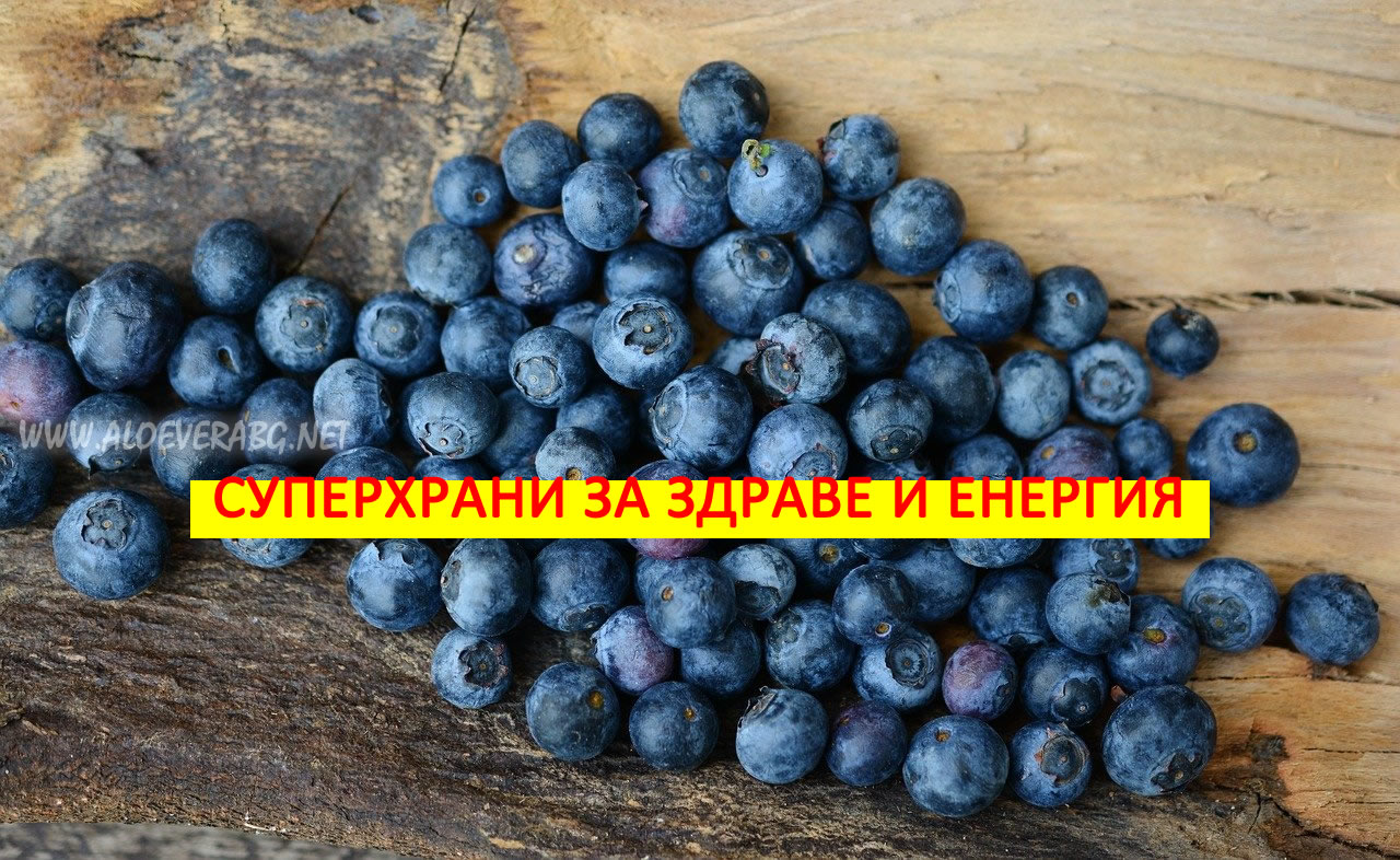 10 Суперхрани за Добро Здраве и Енергия!