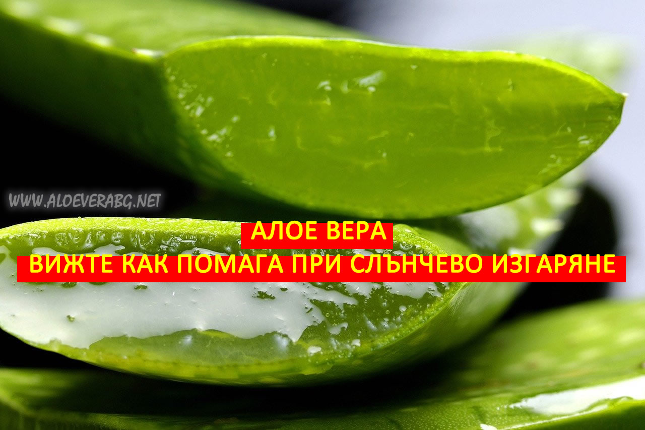 Алое Вера - Най-добрият Помощник при Слънчево изгаряне!