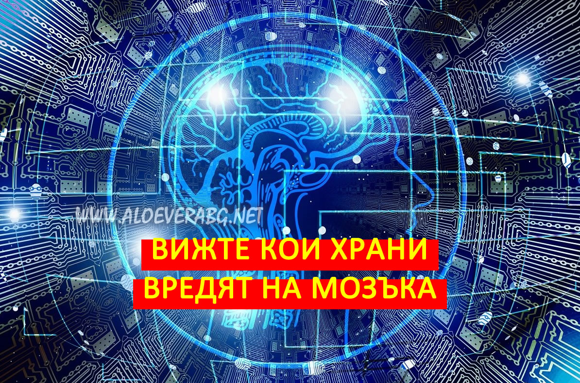 Вижте 5-те най-вредни групи храни за мозъка!