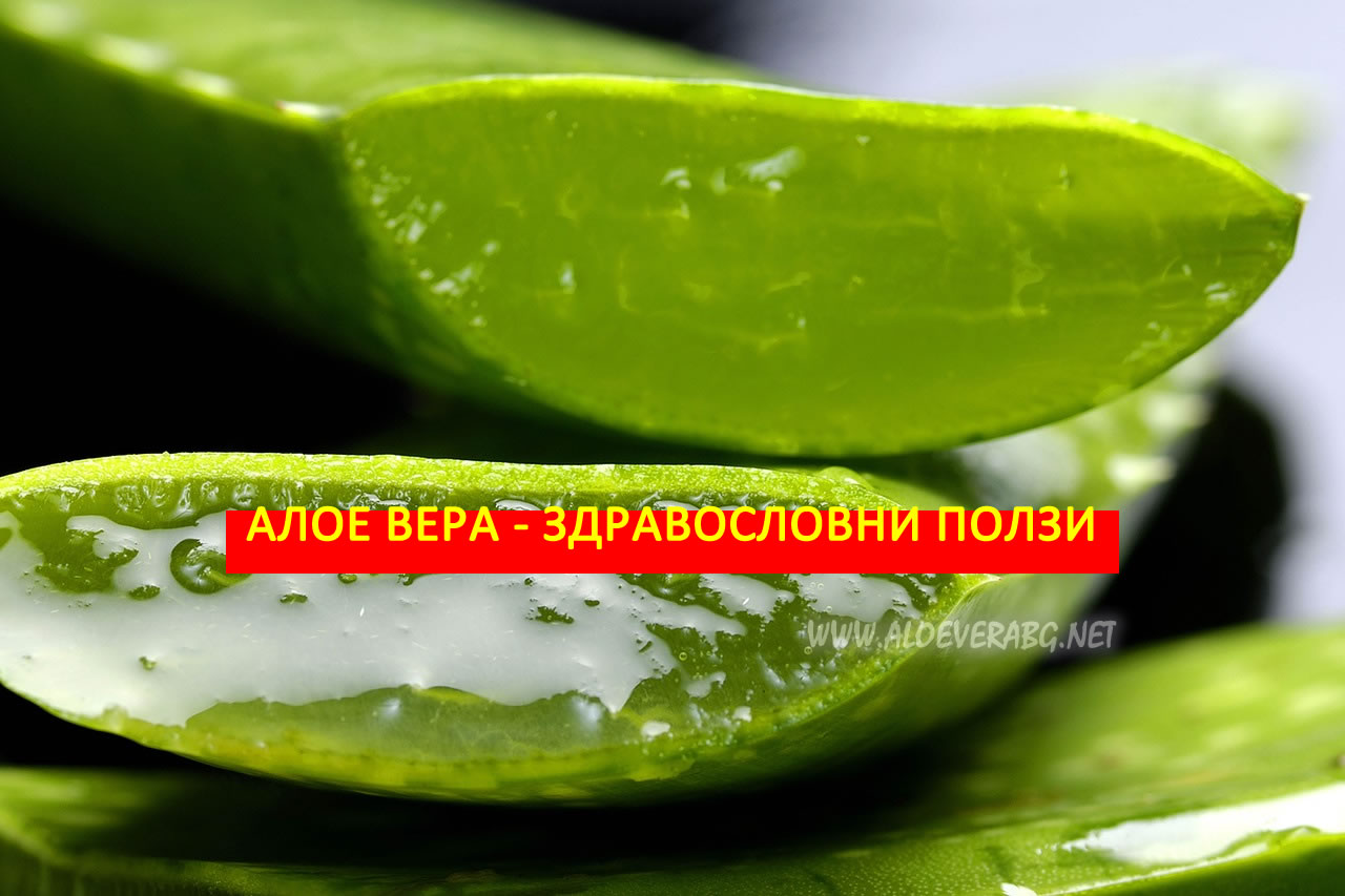 Алое Вера - 8 Здравословни ползи за Здравето!