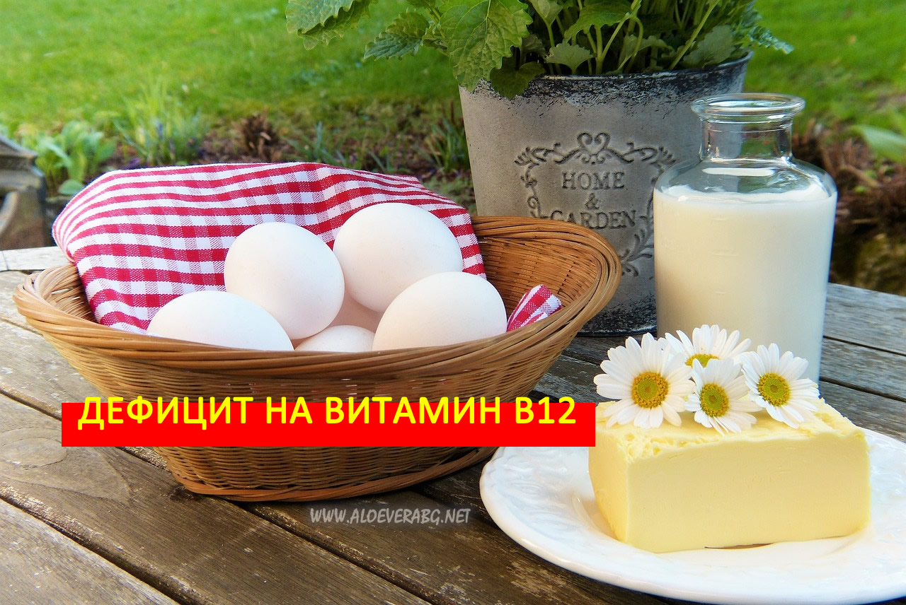 Дефицит на Витамин B12 - Причини и Симптоми!