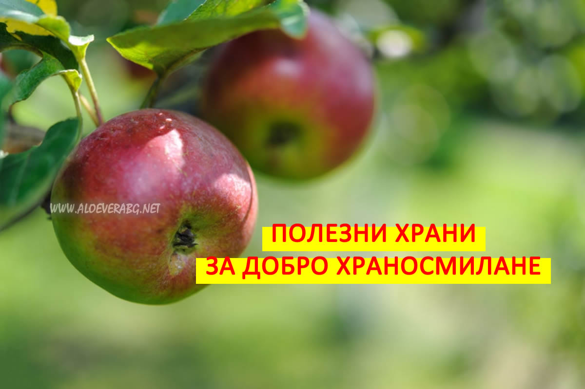 Подобрете Храносмилането си с тези Полезни храни!