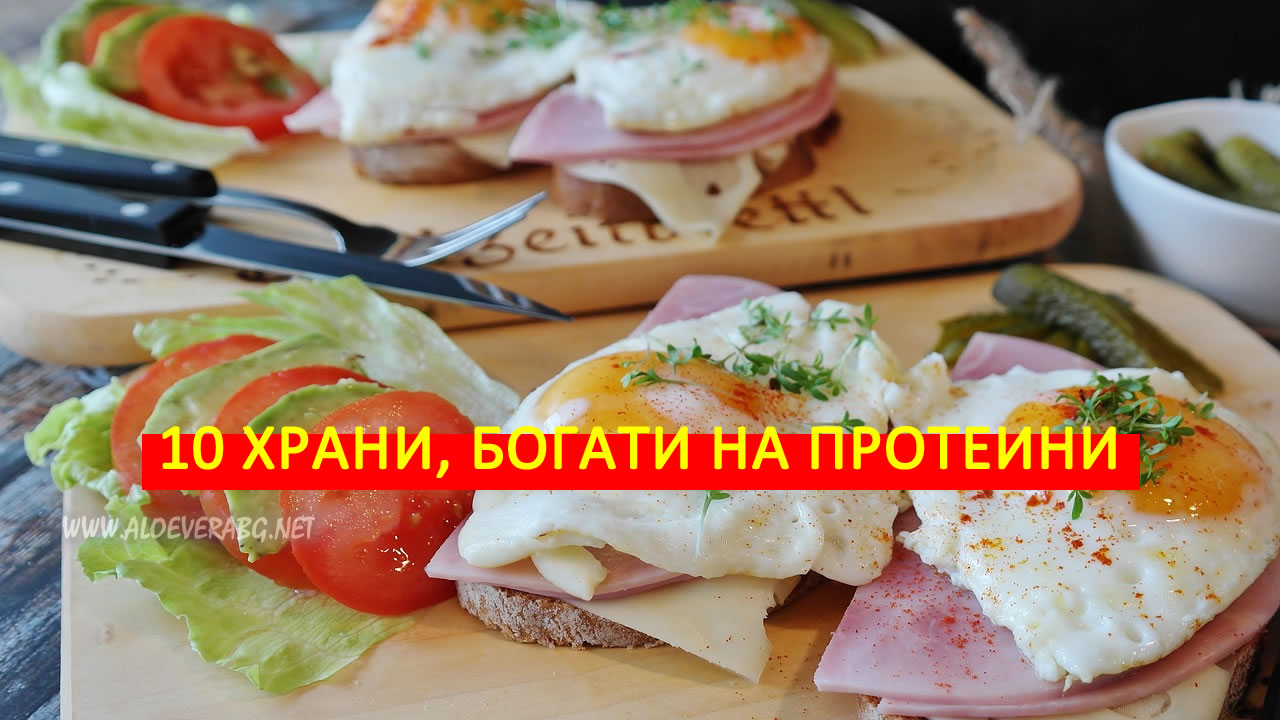 10 Храни, богати на протеини!