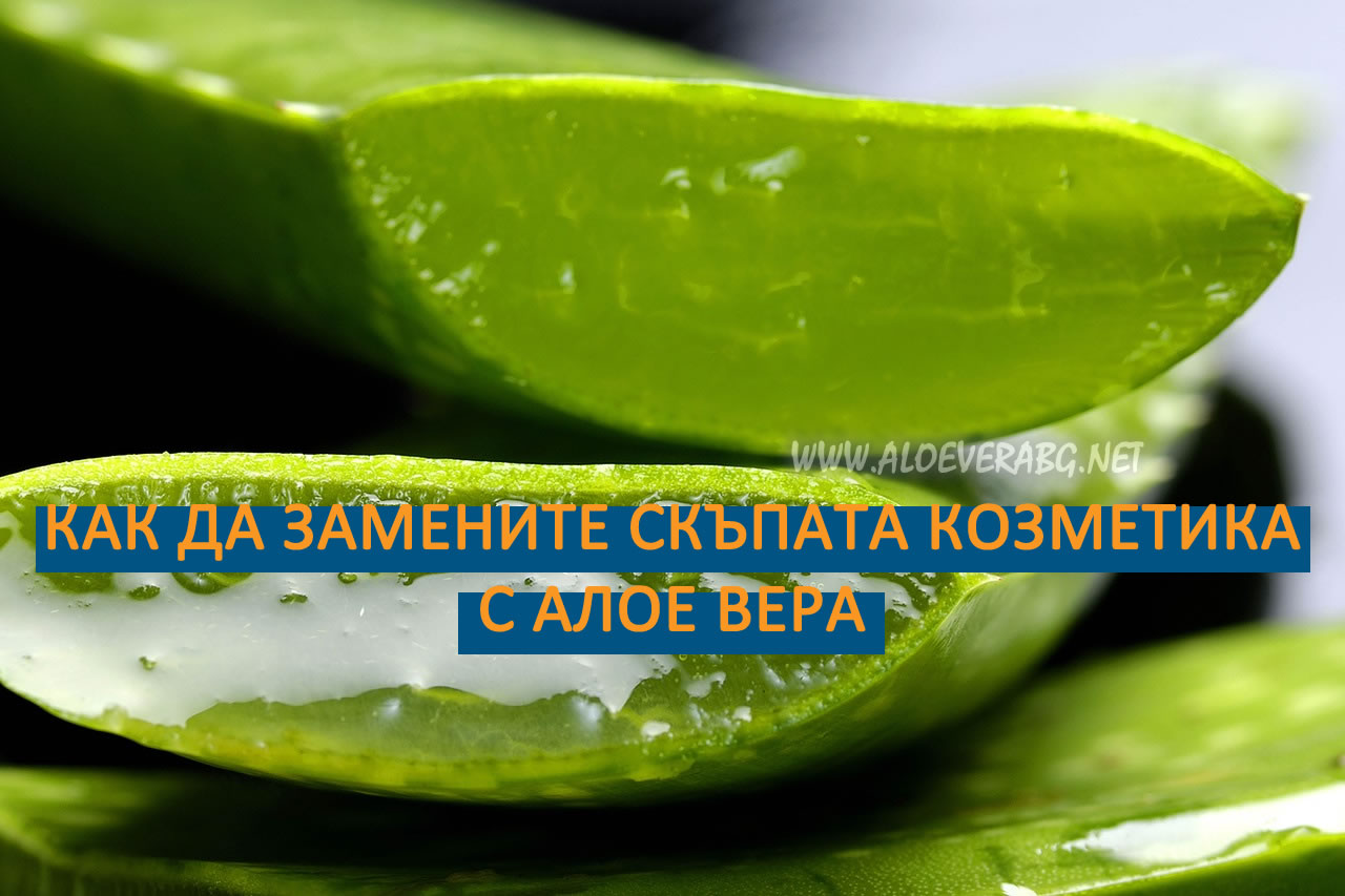 10 Идеи как да замените скъпата козметика с Алое вера!