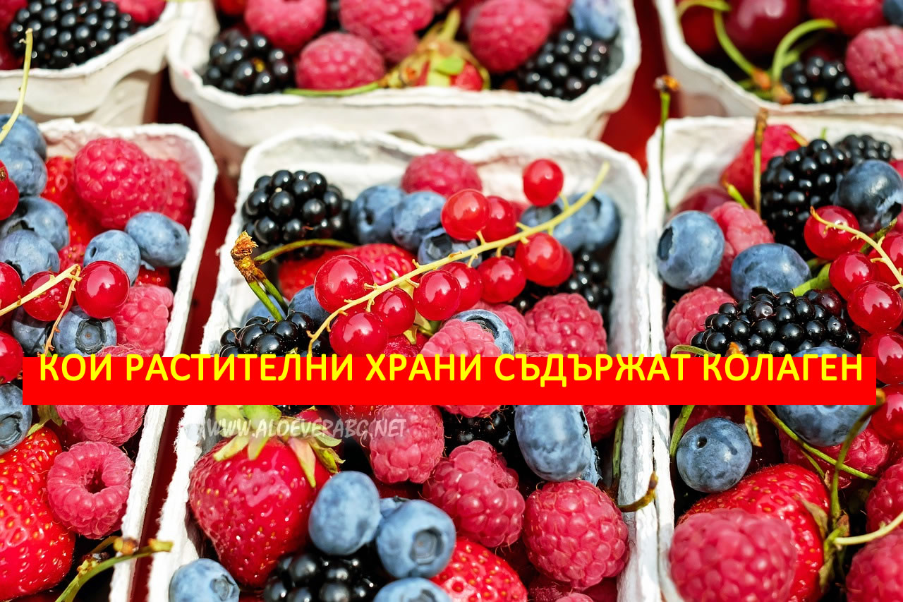 Колаген - В кои растителни храни се съдържа?