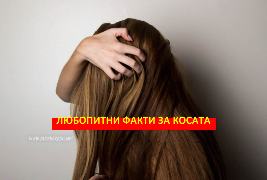 5 Любопитни Факта за Косата!