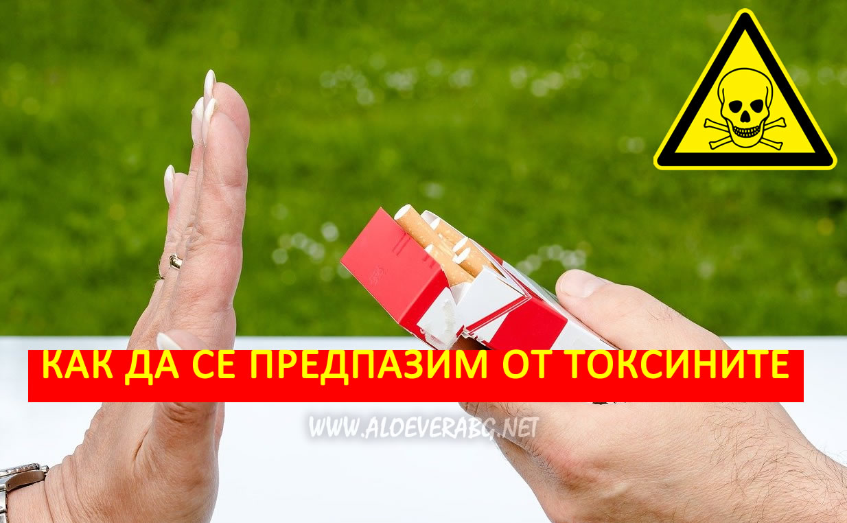 Токсини! Как попадат в тялото и как да Защитим организма си?