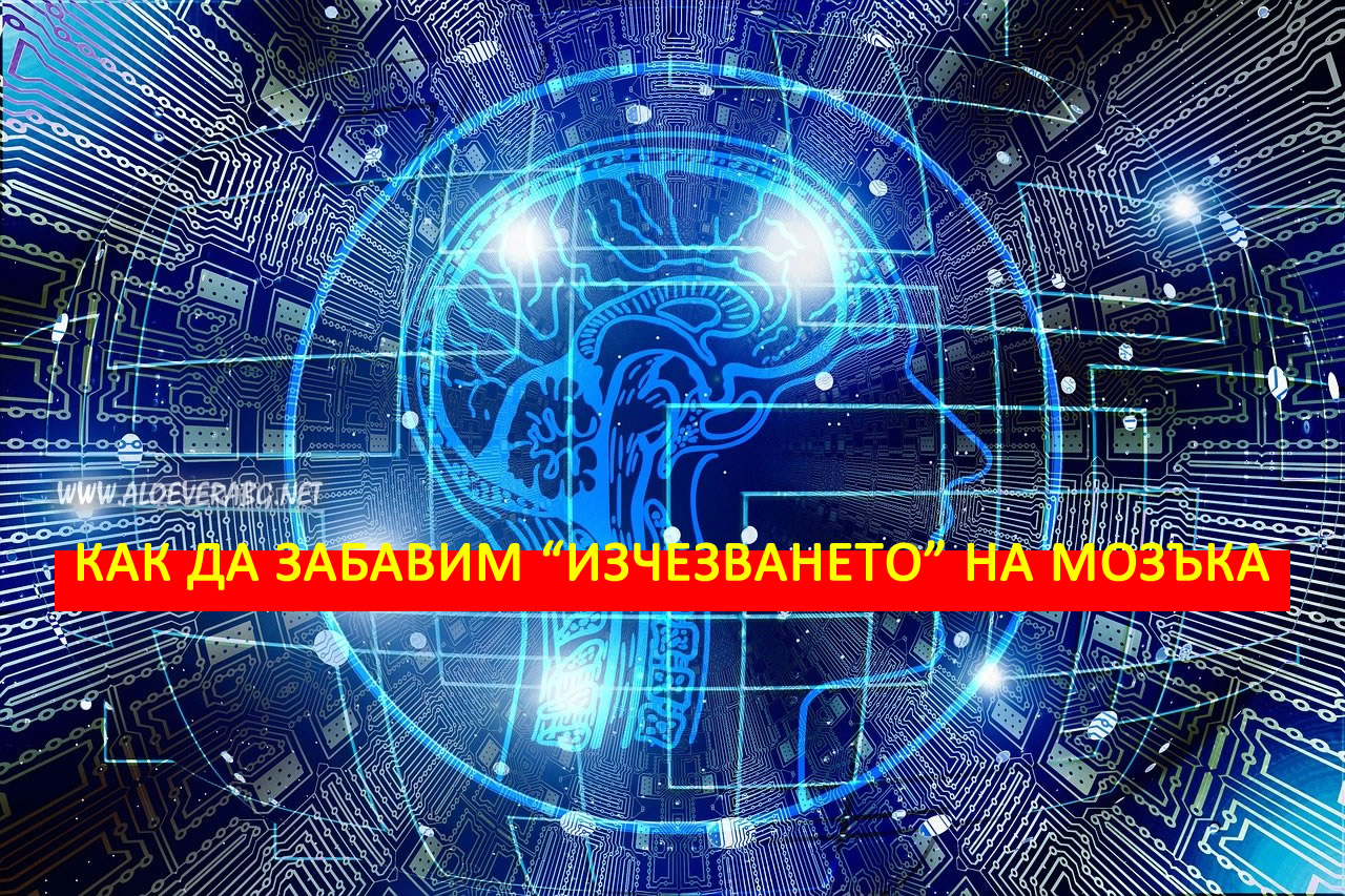 Деменция! Как да забавим