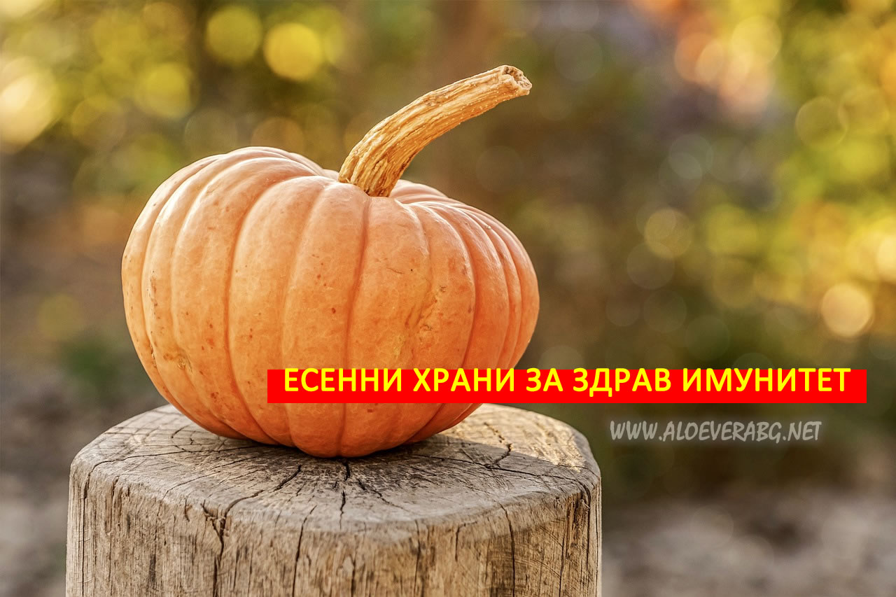 5 Есенни Храни за здрав имунитет!
