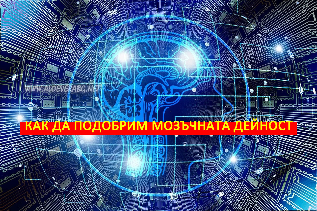Умствена умора - Вижте 3 лесни навика, които подобряват мозъчната дейсност!