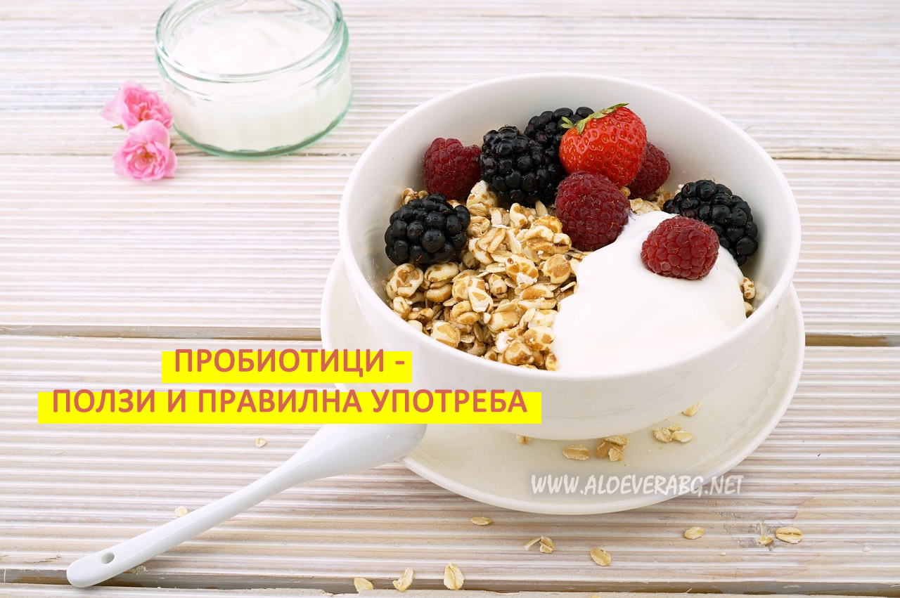 Пробиотици - Ползи и Правилна употреба!