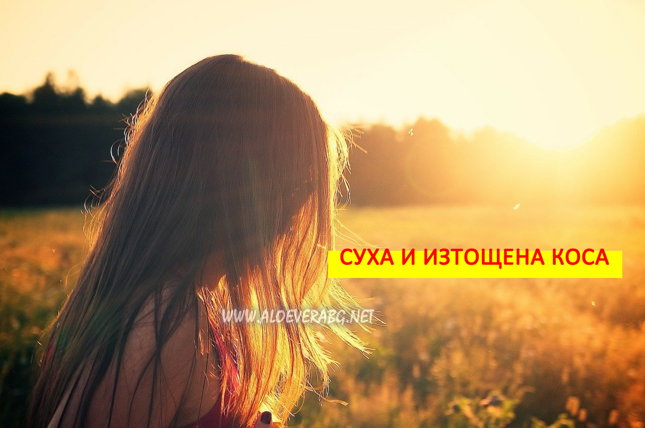 Суха и Изтощена коса? Вижте някои признаци на дефицит на витамини и минерали!