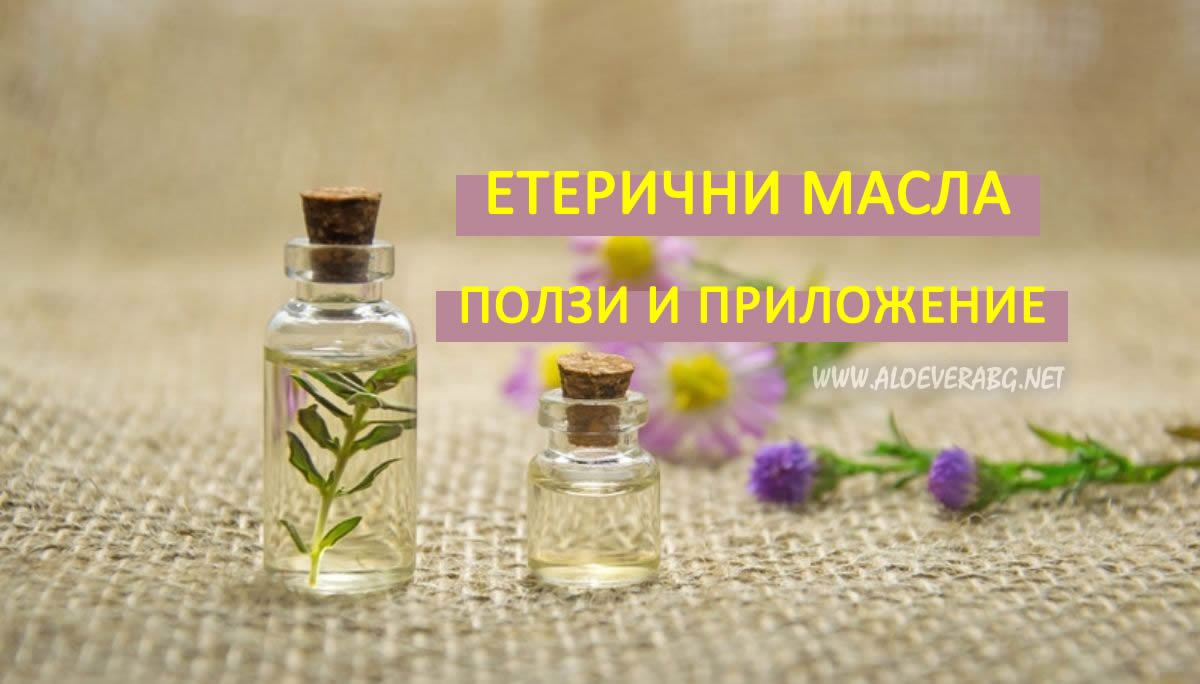 Етерични масла - Видове, ползи и приложение!
