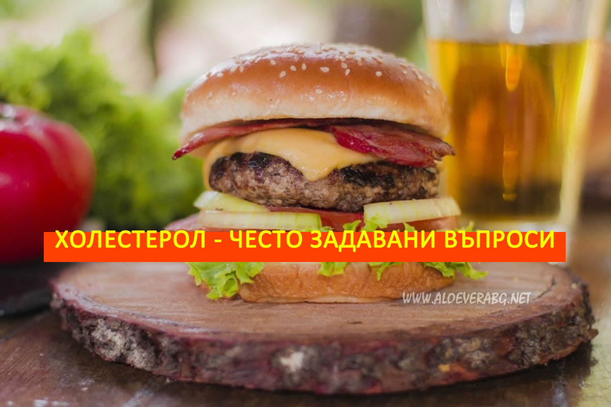 Висок Холестерол - 6 Най-често задавани въпроси!