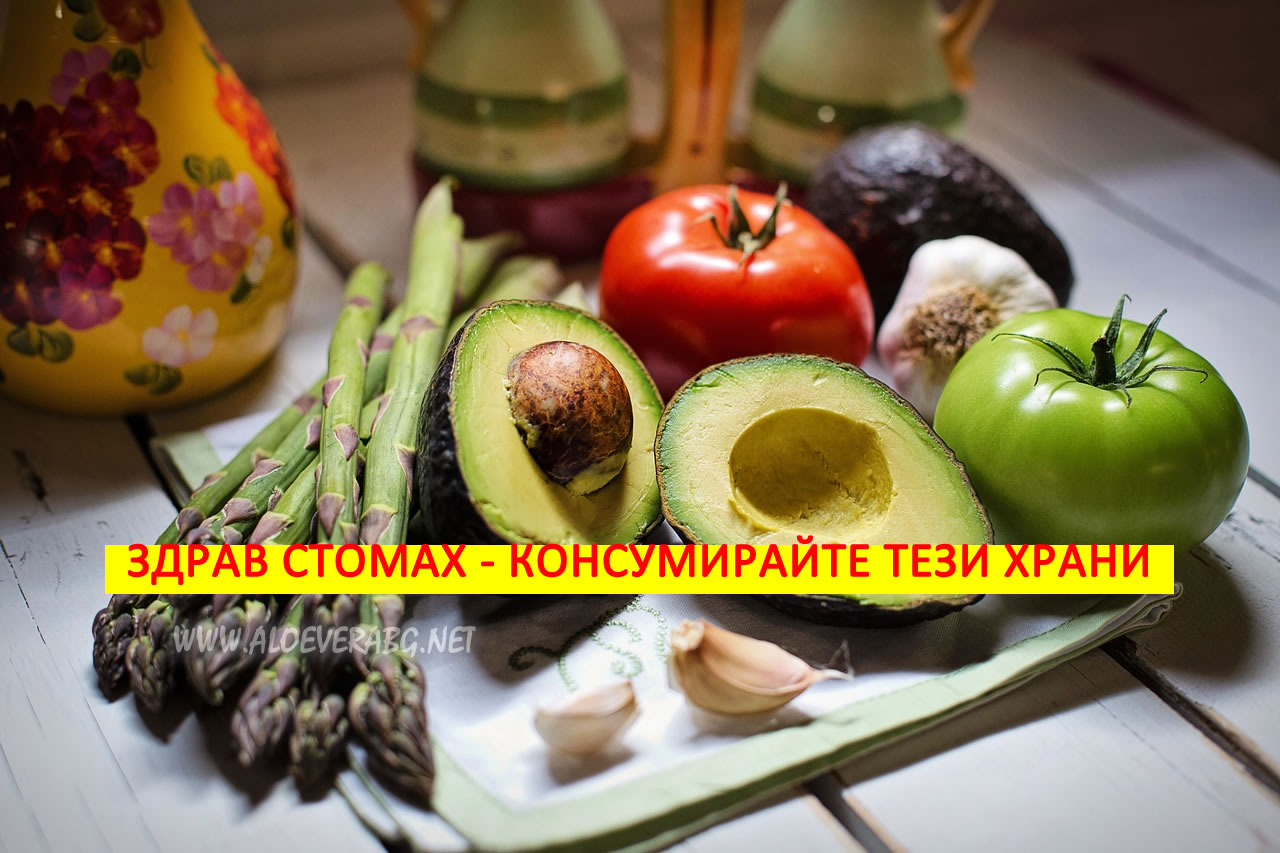 Здрав стомах! Вижте кои храни подхранват полезните бактерии в червата!