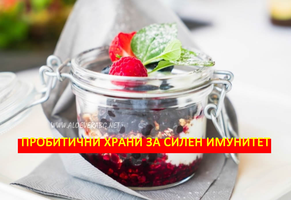 5 Пробиотични Храни за Силен Имунитет!
