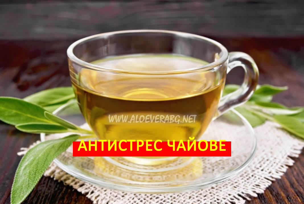 Стрес и Напрежение? Вижте най-добрите антистрес чайове!