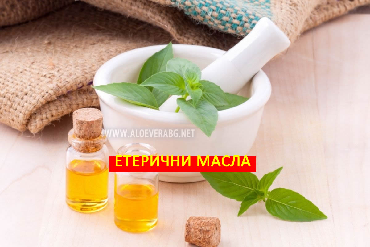 Етерични масла - Вижте кои са Подходящи за Различните части на Деня!