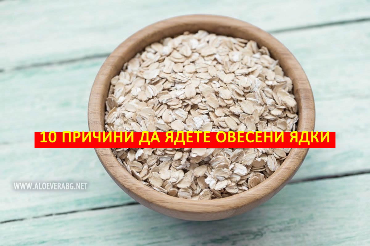 10 Причини да ядете Овесени ядки редовно!