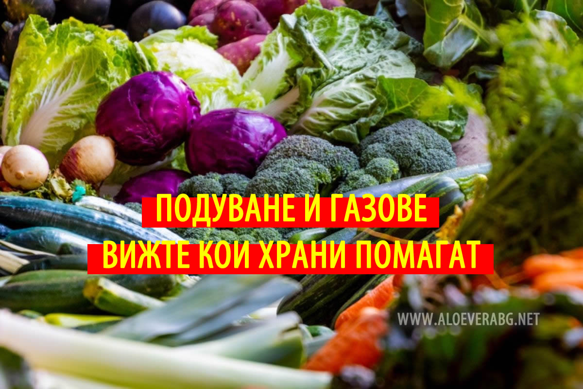 Подуване и газове - Вижте 7 Храни, които помагат!
