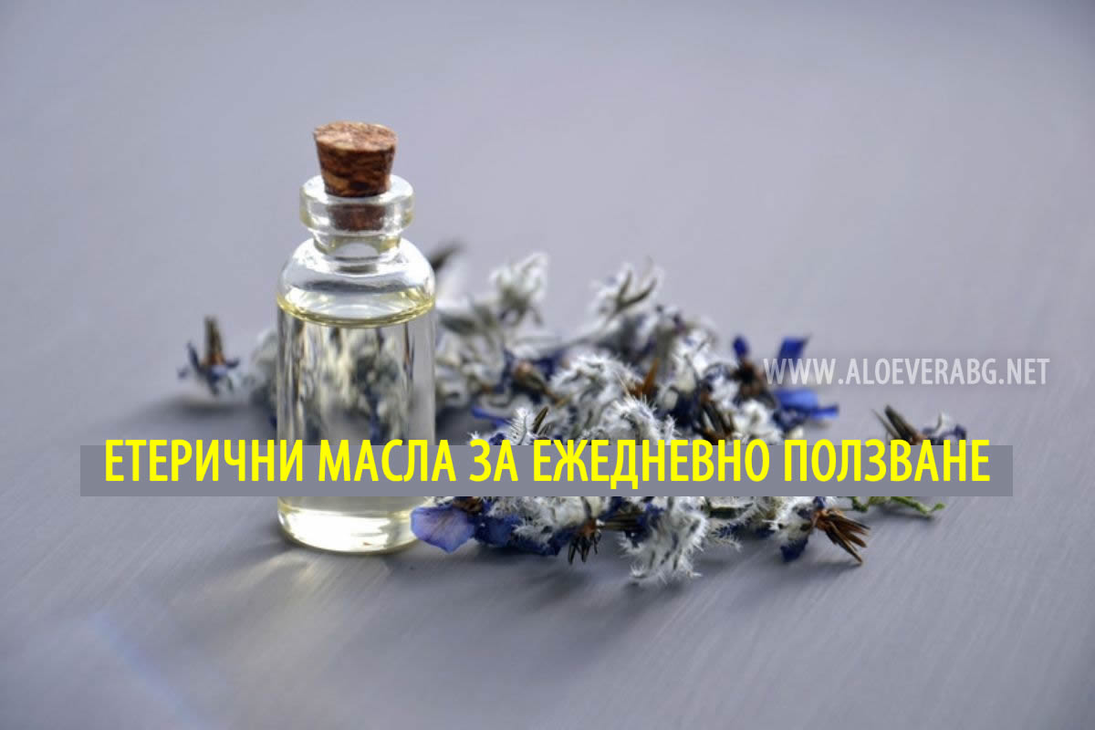 3 Етерични масла, които трябва да присъстват в ежедневието ви!