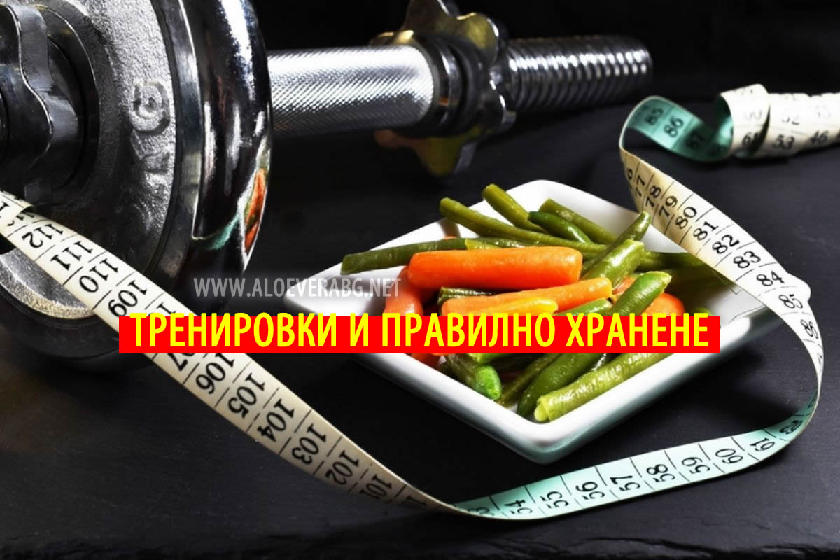 Тренировки и Правилно хранене - Вижте нашите съвети!