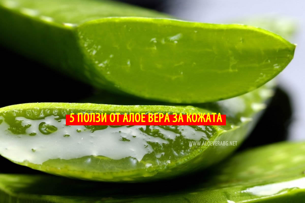 5 Ползи от Алое Вера за Вашата Кожа!