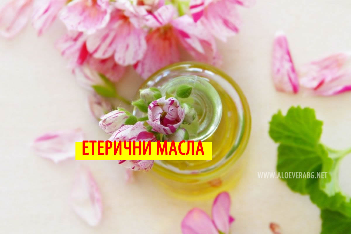Най-добрите Етерични Масла и Приложението им в Ежеденвието!