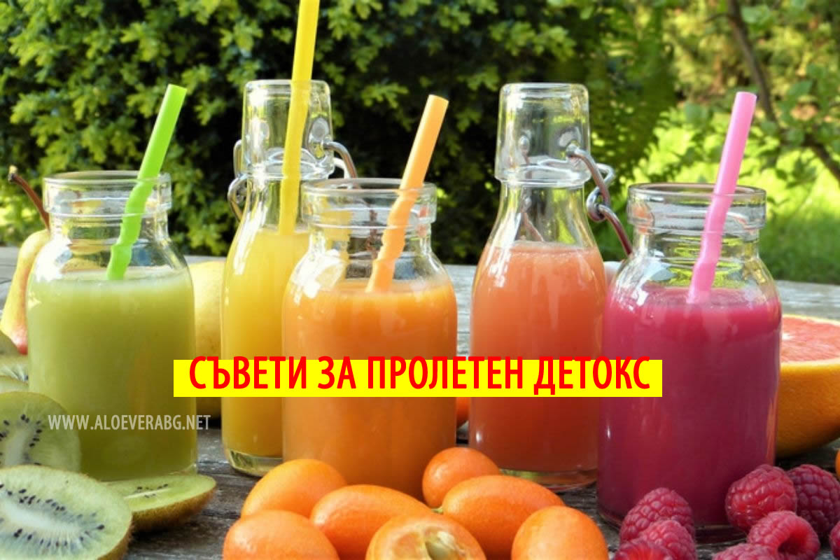 5 Съвета за Пролетен Детокс на Организма!