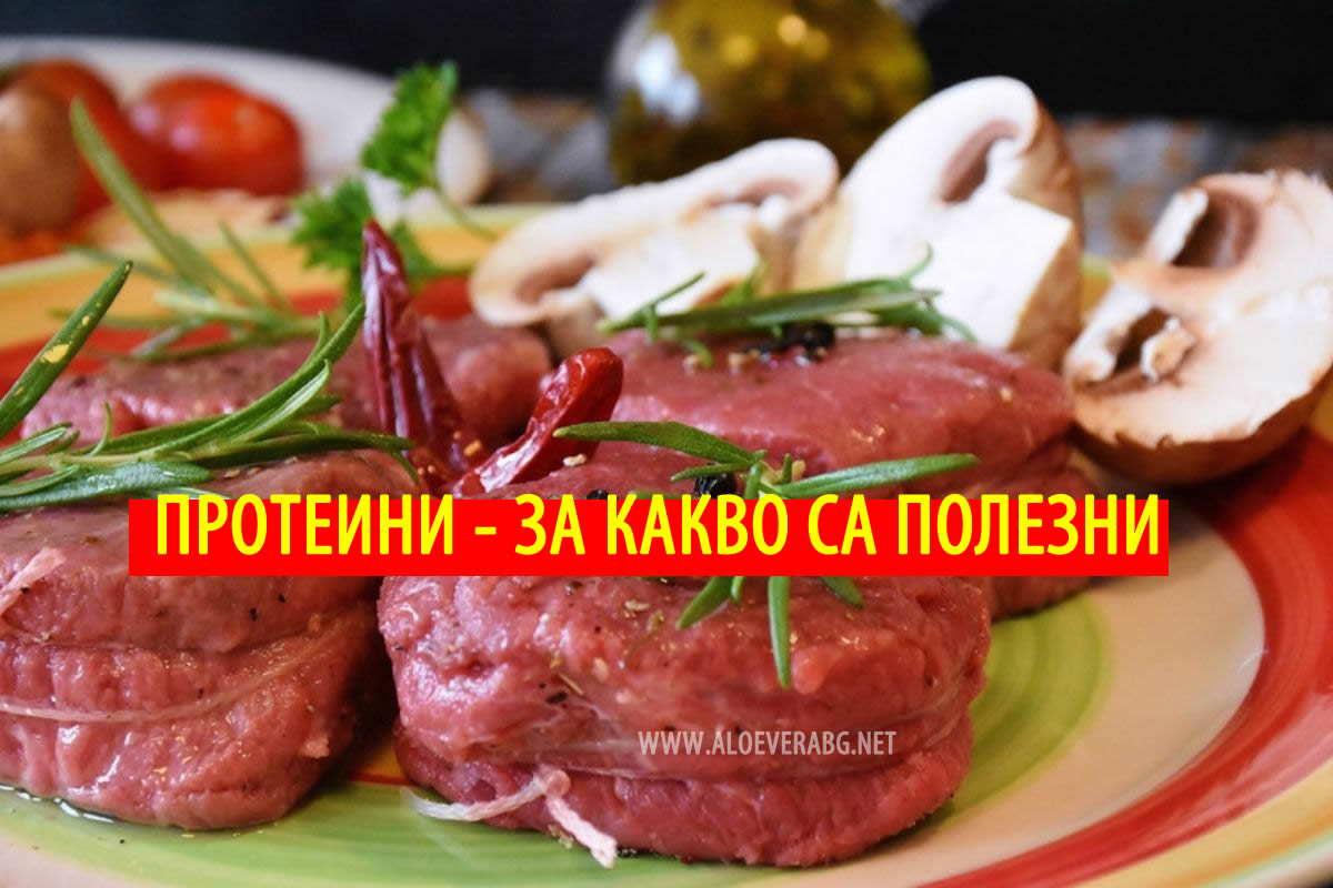Протеини - Защо Трябва да ги Консумираме Ежедневно?