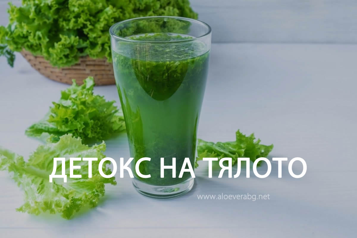 Детокс на Тялото - Защо е Важен?