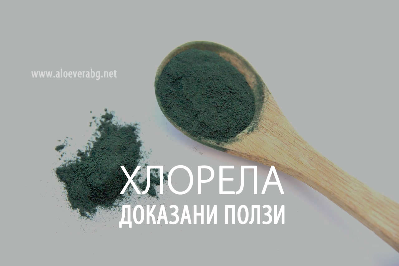 Хлорела - Сладководно Водорасло с Доказани Ползи за Здравето!