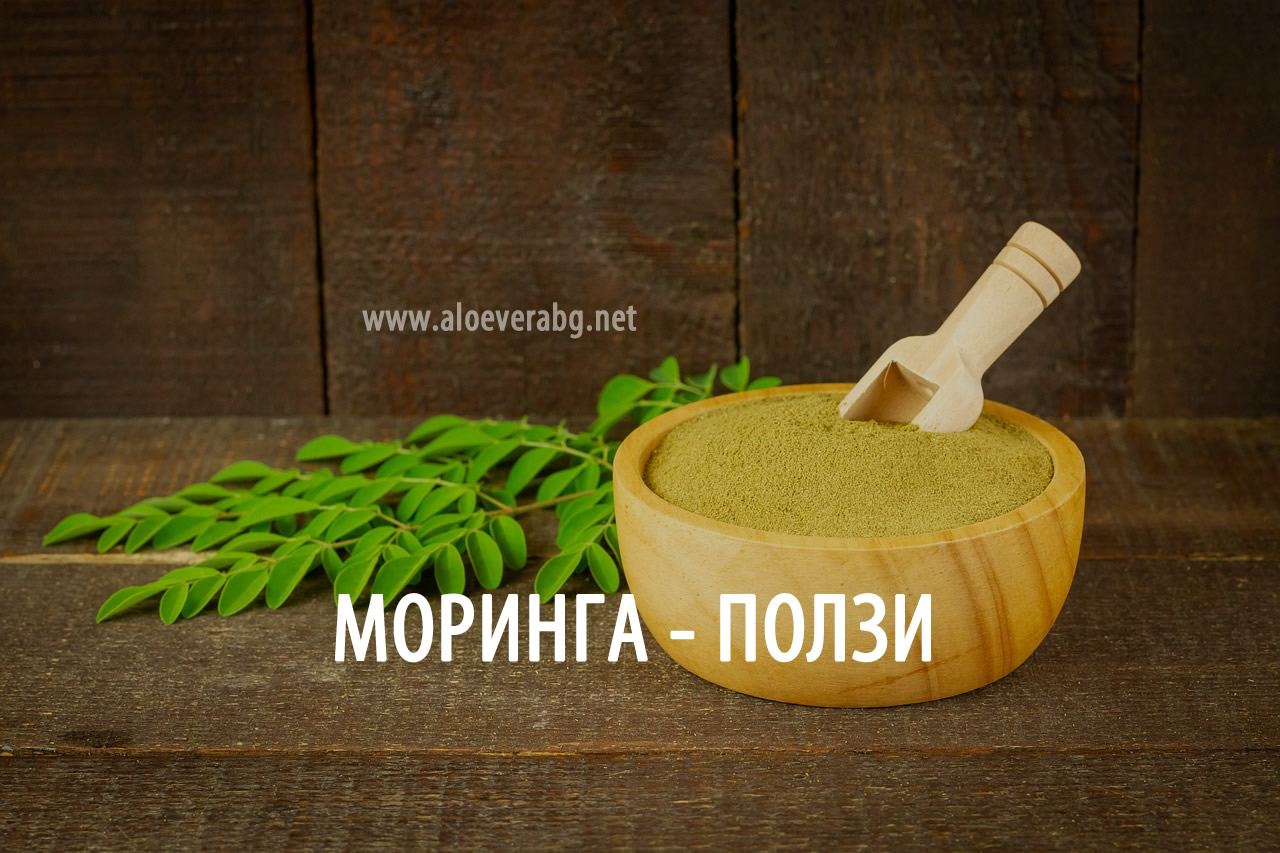 Моринга и Нейните Ползи за Здравето!