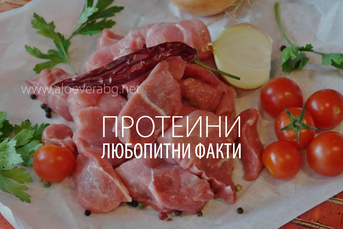 lubopitni fakti za proteinite
