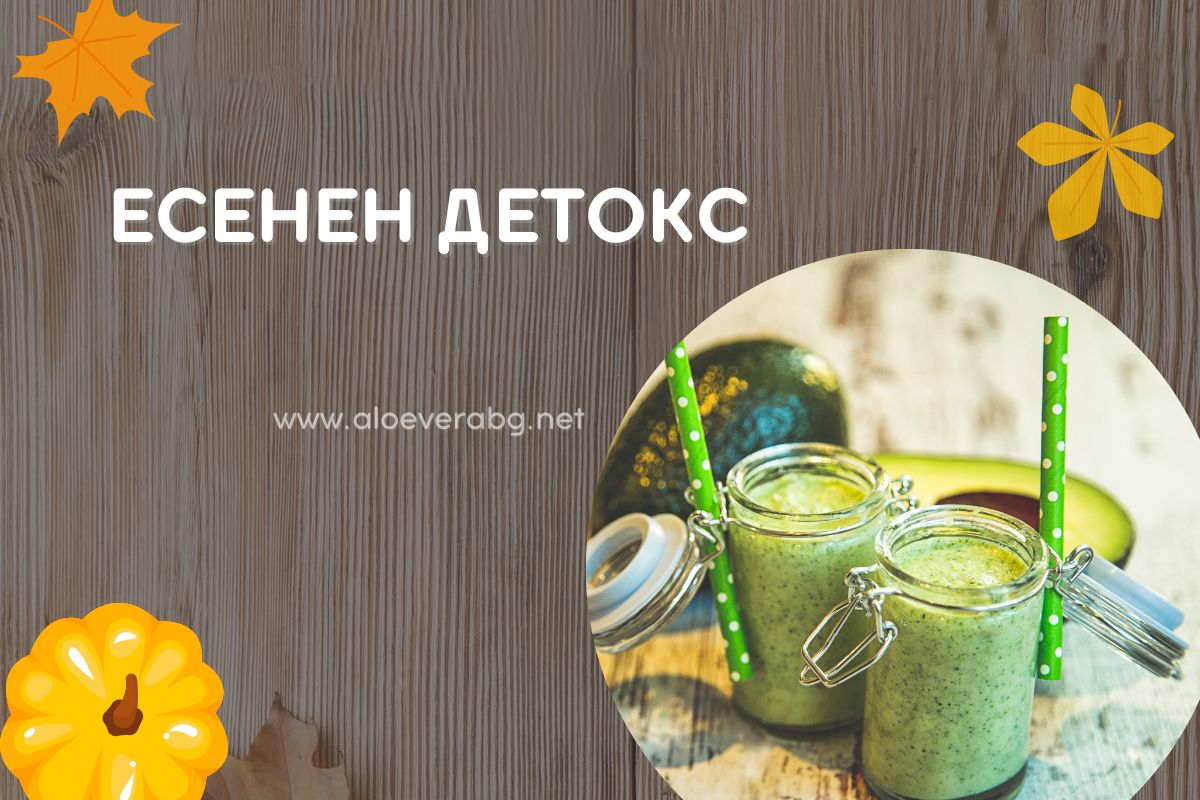 Детокс през Есента - Подгответе Организма си за Студените дни!
