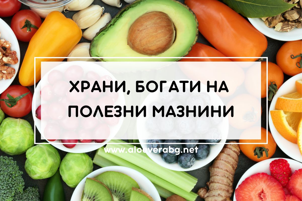 Вижте 4 Храни, Богати на Полезни за Здравето Мазнини!