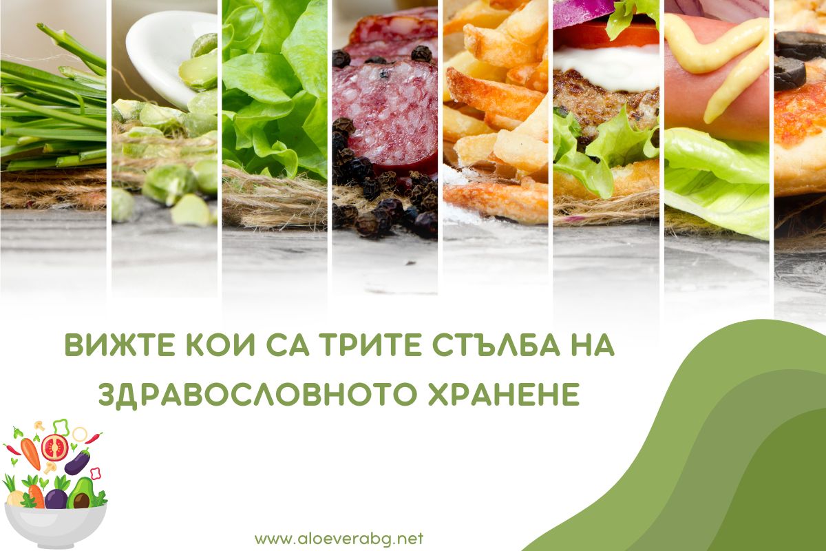 Вижте кои са Трите Стълба на Здравословното Хранене!