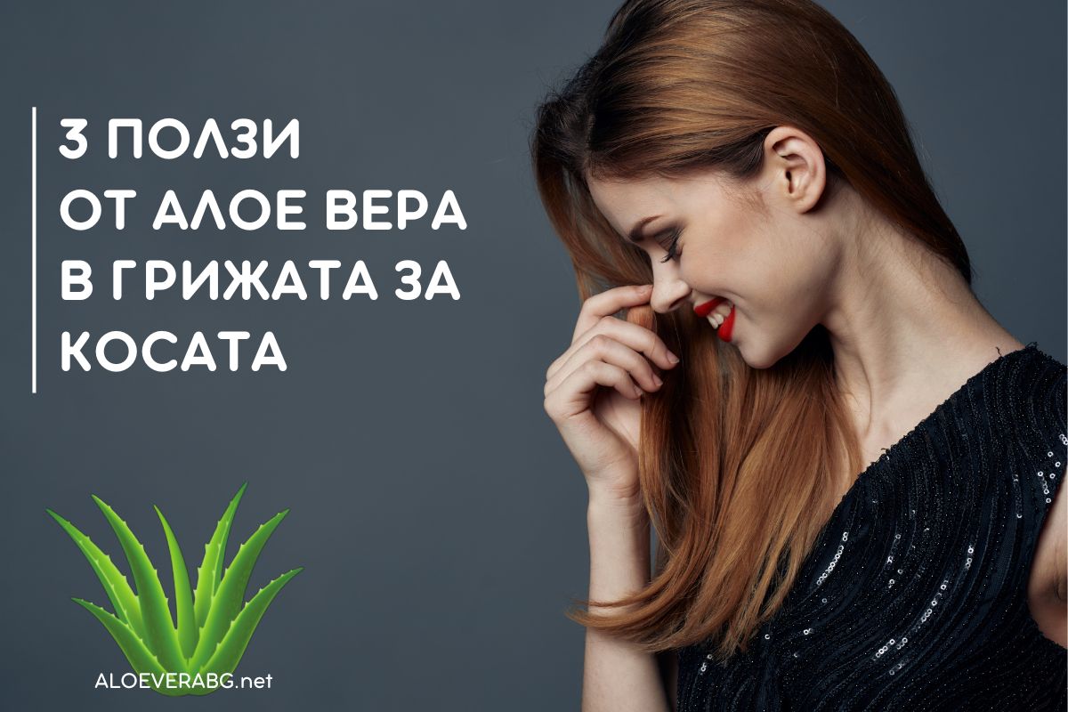 Грижа за Косата - Вижте 3 Ползи от Употребата на Алое Вера!