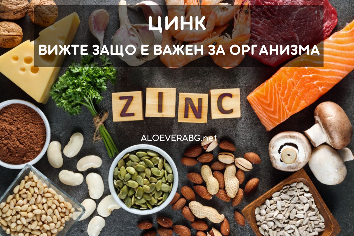 Дефицит на Цинк - Вижте защо е Важен за Организма и как да си го Набавите!