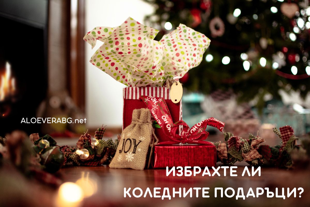 Избрахте ли Коледните Подаръци? Ето нашите Препоръки!