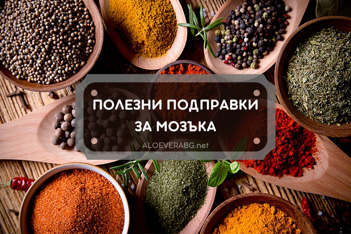 Вижте 3 Подправки, които Допринасят за Здравето на Мозъка!